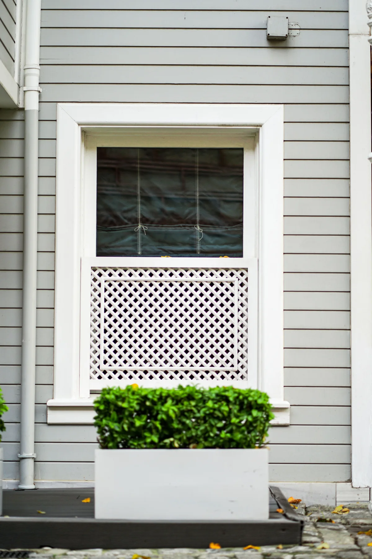 Architectural inspiration: white window surround and lattice panel on gray clapboard above a green planter